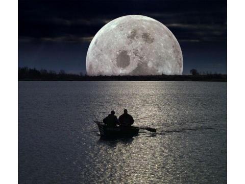 Moon Fishing